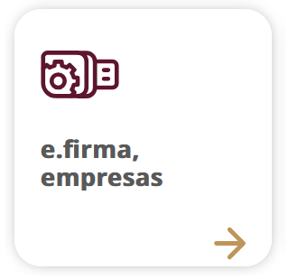 e.firma empresas